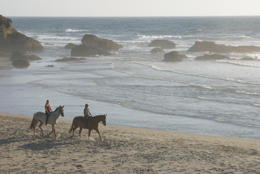 Surf And Sand Lodge Φορτ Μπραγκ Εξωτερικό φωτογραφία